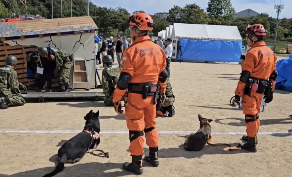SAR-DOG CWC（救助犬訓練チーム）
